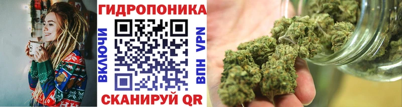 МЕГА маркетплейс  Волосово  Шишки марихуана индика 